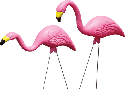 Two lawn flamingoes
